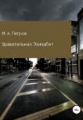 Обложка книги "Дарли-сити. Удивительная Элизабет"