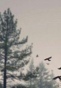 Обложка книги "Четверо смелых"