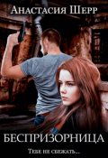 Обложка книги "Беспризорница"