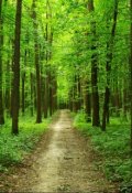 Обложка книги "Как находят друзей"