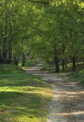 Обложка книги "Музыка природы"