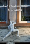 Обложка книги "Неожиданный визитер"