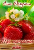 Обложка книги "Моё прекрасное лето"