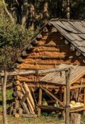 Обложка книги "Деревня в которой не было проблем"