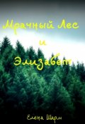 Обложка книги "Мрачный Лес и Элизабет"