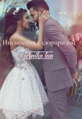 Обложка книги "Инспекция с сюрпризом"