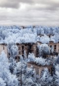 Обложка книги "Тот, который сидел на крыше"
