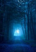 Обложка книги "Необычная прогулка"