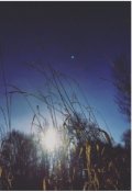 Обложка книги "Harvest Moon"