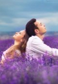 Обложка книги ""Картинка""
