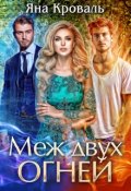 Обложка книги "Меж двух огней"