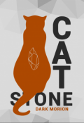 Обложка книги "Cat's stone"
