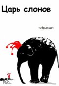 Обложка книги "Царь слонов"