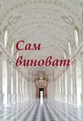 Обложка книги "Сам виноват "