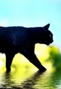 Обложка книги "История о маленькой кошке, которая доверилась Дракону"