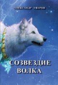 Обложка книги "Созвездие Волка"