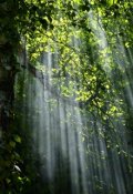 Обложка книги "Давным-давно"