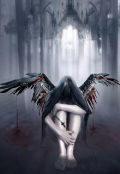 Обложка книги "Black wing "