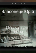 Обложка книги "пока стоят часы"