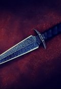 Обложка книги "За корону и справедливость"