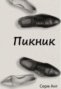 Обложка книги "Пикник"