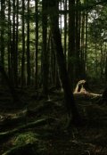 Обложка книги "Die Suche"