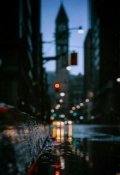 Обложка книги "Огни"
