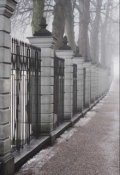 Обложка книги "Особняк"