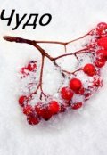 Обложка книги "Чудо"