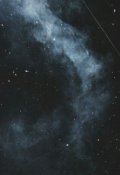 Обложка книги "Иная жизнь для Иной"