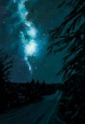 Обложка книги "Тёмная Сторона"