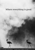 Обложка книги "Где всё прекрасно"