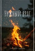 Обложка книги "Нужный враг"