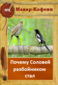 Обложка книги "Почему Соловей разбойником стал"