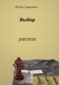 Обложка книги "Выбор"