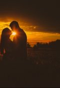 Обложка книги "Приключения Ёшки или загадочная леди.Книга вторая."