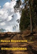 Обложка книги "Командировка"