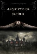 Обложка книги "Лабиринт тьмы"