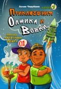 Обложка книги "Как мы запускали мышку"