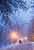 Обложка книги "Вторая встреча."