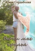 Обложка книги "Верни мне крылья"