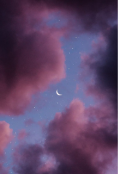 Обложка книги "Летняя ночь"