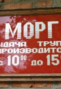 Обложка книги "Мягкая плоть"