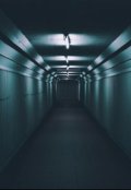 Обложка книги "Высшая мера"