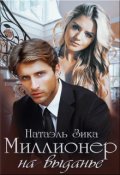 Обложка книги "Миллионер на выданье"