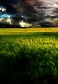 Обложка книги "По ту сторону поля с высокой травой"