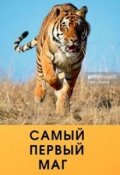 Обложка книги "Самый первый маг"