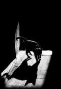 Обложка книги "Черная кошка"