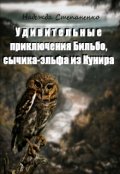 Обложка книги "Удивительные приключения Бильбо, сычика-эльфа из Кунира"