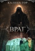 Обложка книги "Враг"